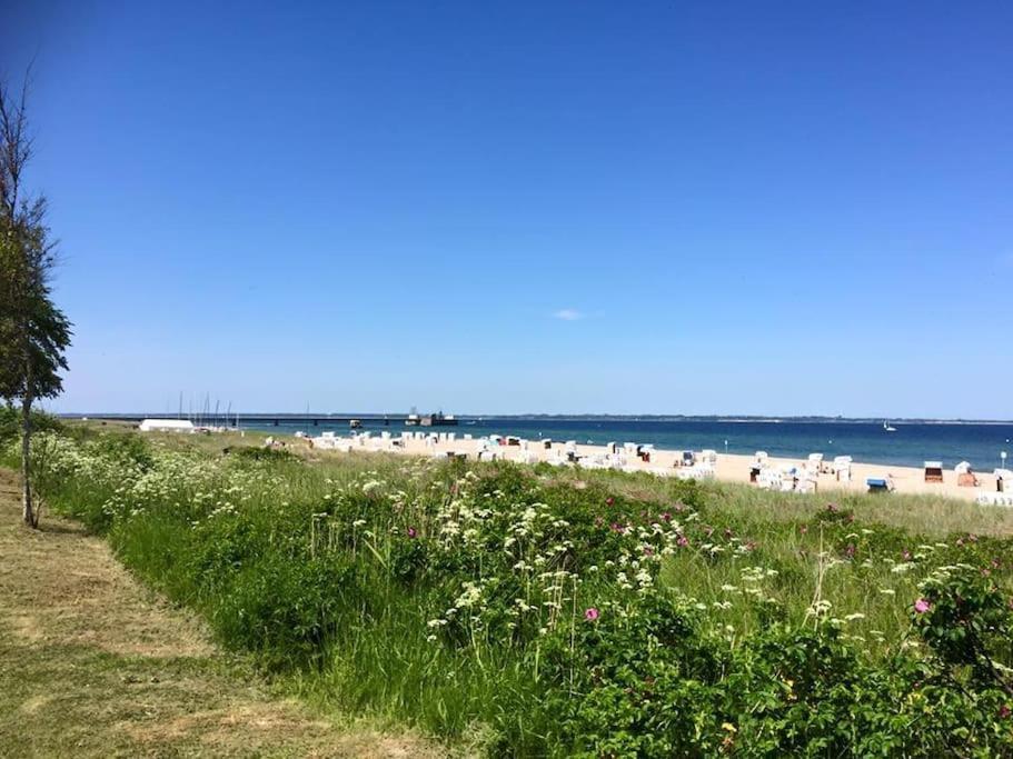 Neue Ferienwohnung Kuestennaehe Mit Terrasse 3Km Zum Strand Osdorf ภายนอก รูปภาพ